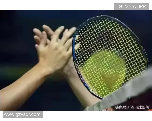 羽毛球女将杨丽的奋斗历程与人生感悟对话分享